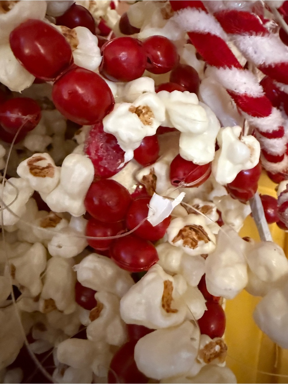 Red and White Popcorn and Cranberry Garland - Home Party Supplies
